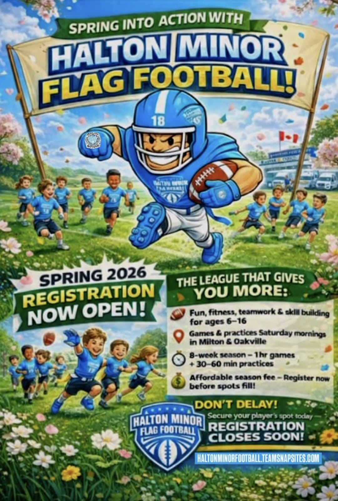 Halton Flag Special Offer